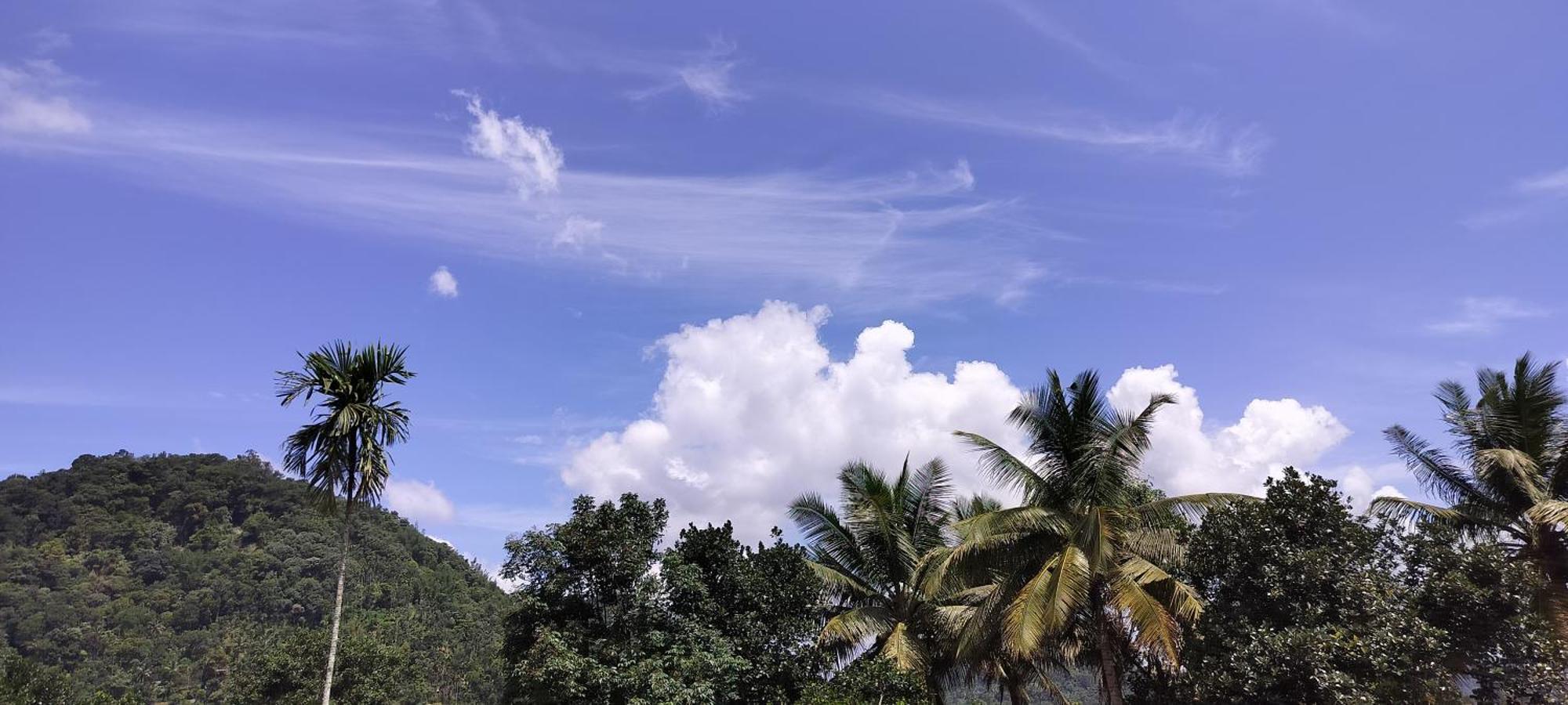 Himadri Munnar Holidays Екстериор снимка